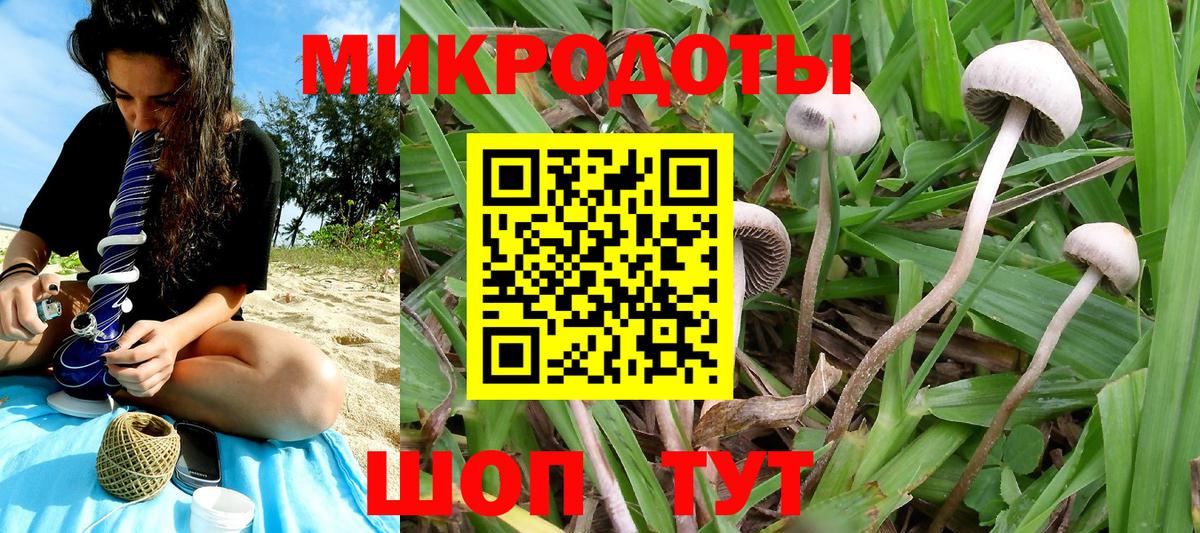 Зеленодольск  Псилоцибиновые грибы Psilocybine cubensis  Вход с VPN  наркотики  Галлюциногенные грибы мухоморы 