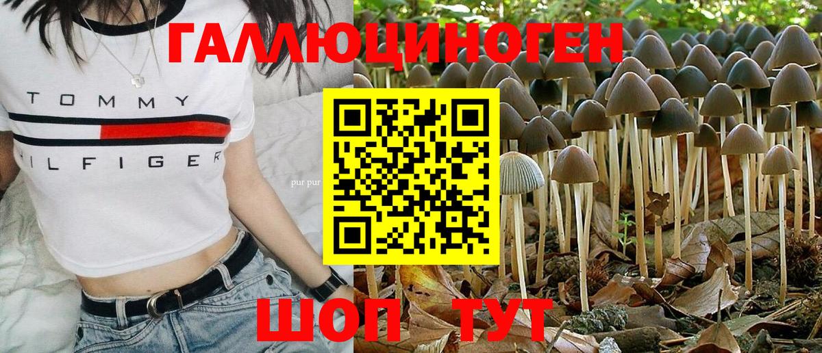 Псилоцибиновые грибы MAGIC MUSHROOMS Зеленодольск
